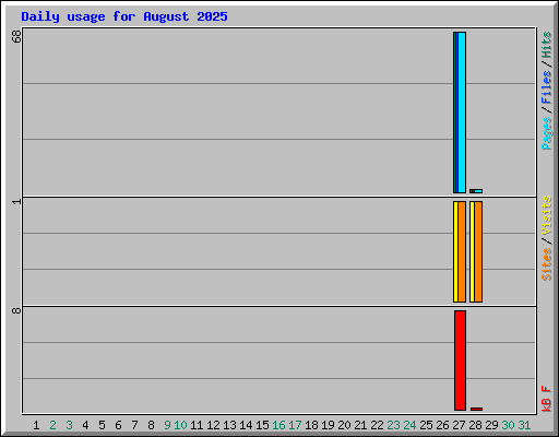 Daily usage for August 2025