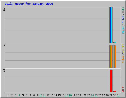 Daily usage for January 2026