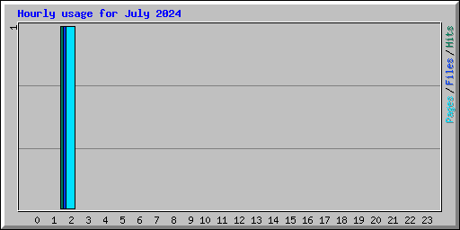 Hourly usage for July 2024
