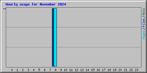 Hourly usage for November 2024