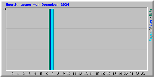 Hourly usage for December 2024