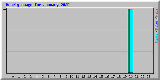 Hourly usage for January 2025
