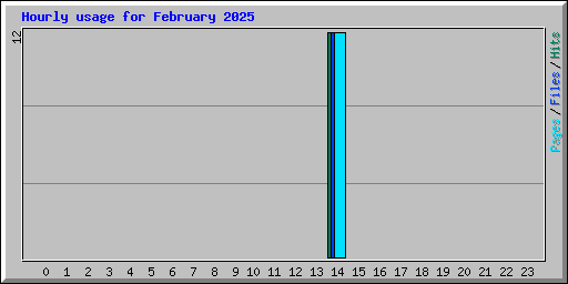 Hourly usage for February 2025