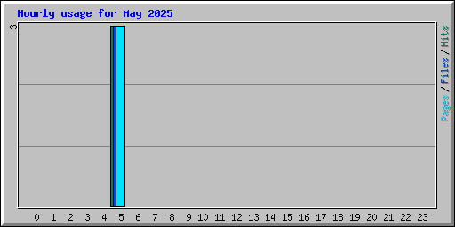 Hourly usage for May 2025