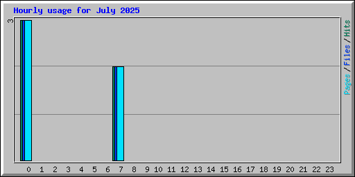 Hourly usage for July 2025