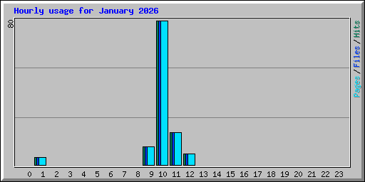 Hourly usage for January 2026